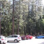 IMG_7505 (May 28, 2024)